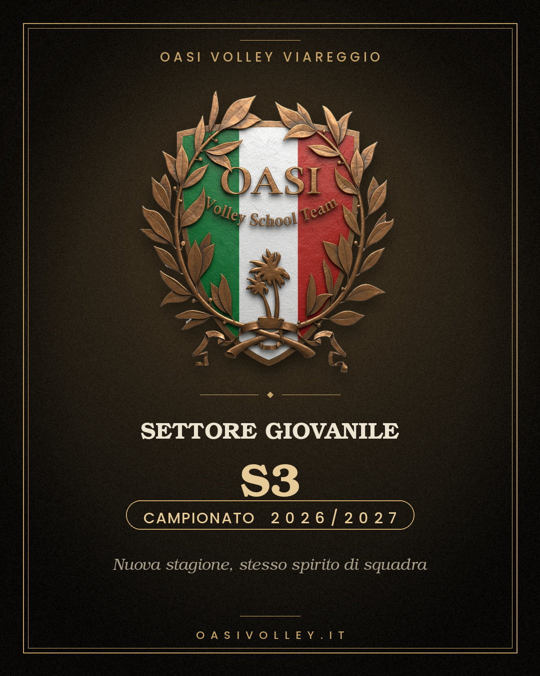 S3 volley
