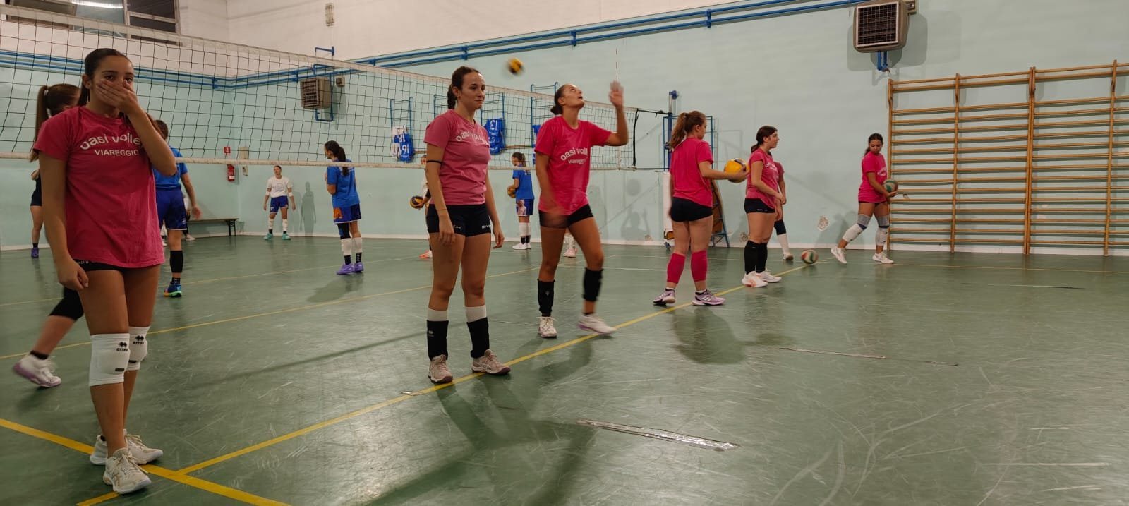 Under 19: Oasi Volley - V.P. Volley